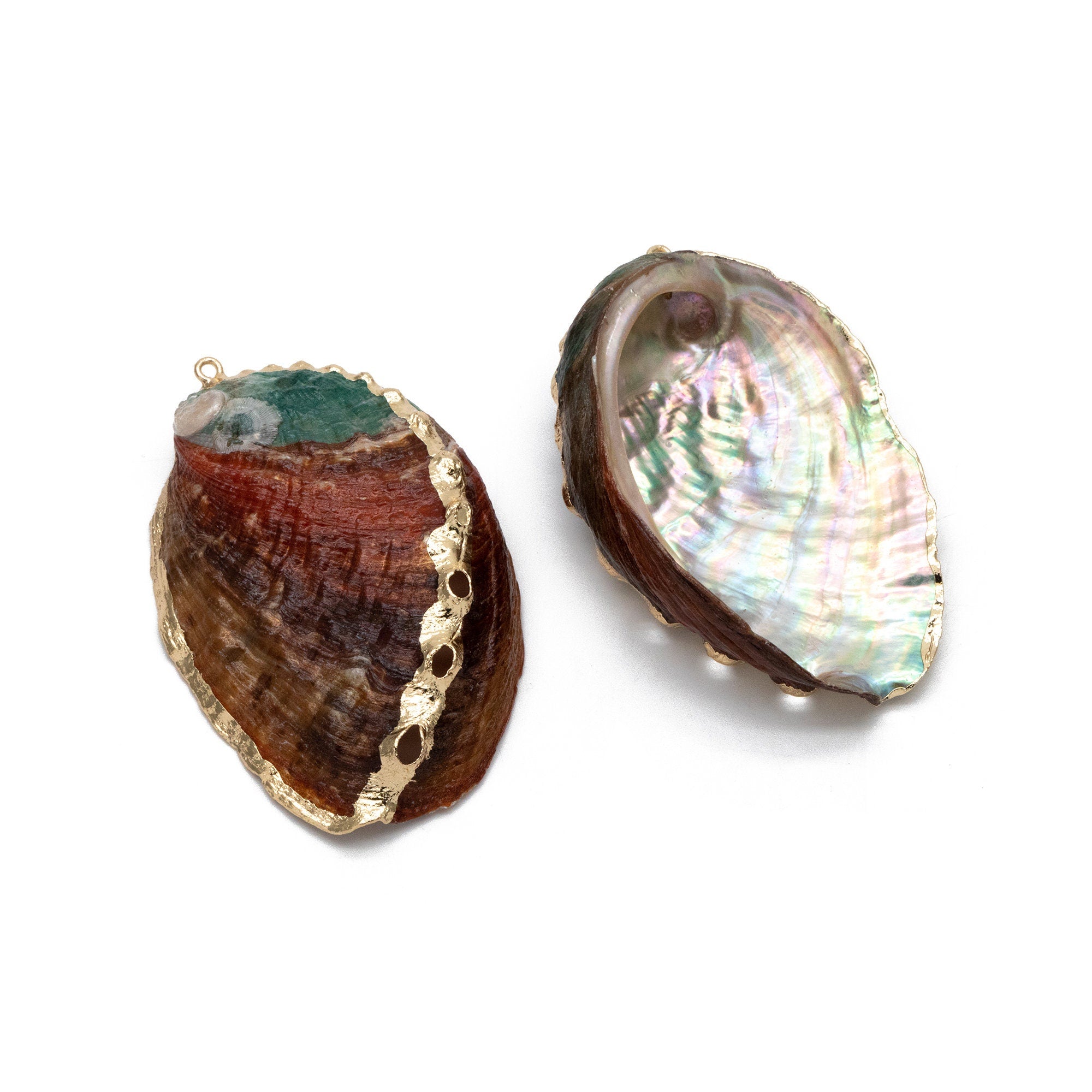 4pcs Abalone Shell Charms, Seashell Pendant, Gold Tone Plated Earring charm (#V1417)